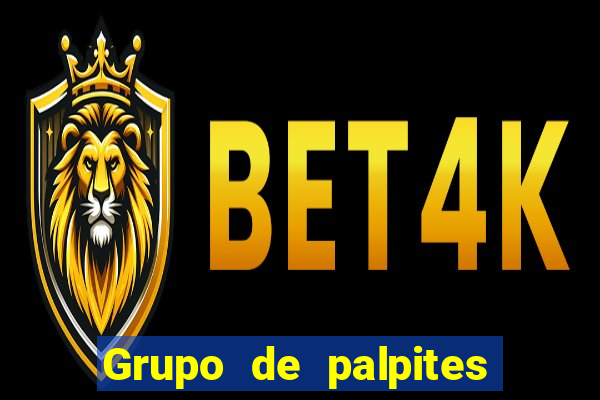 Grupo de palpites de futebol gratis